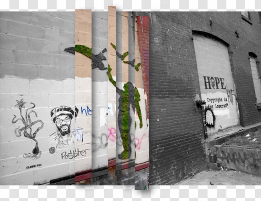 Street Art Moss Graffiti Artist Mural Transparent PNG