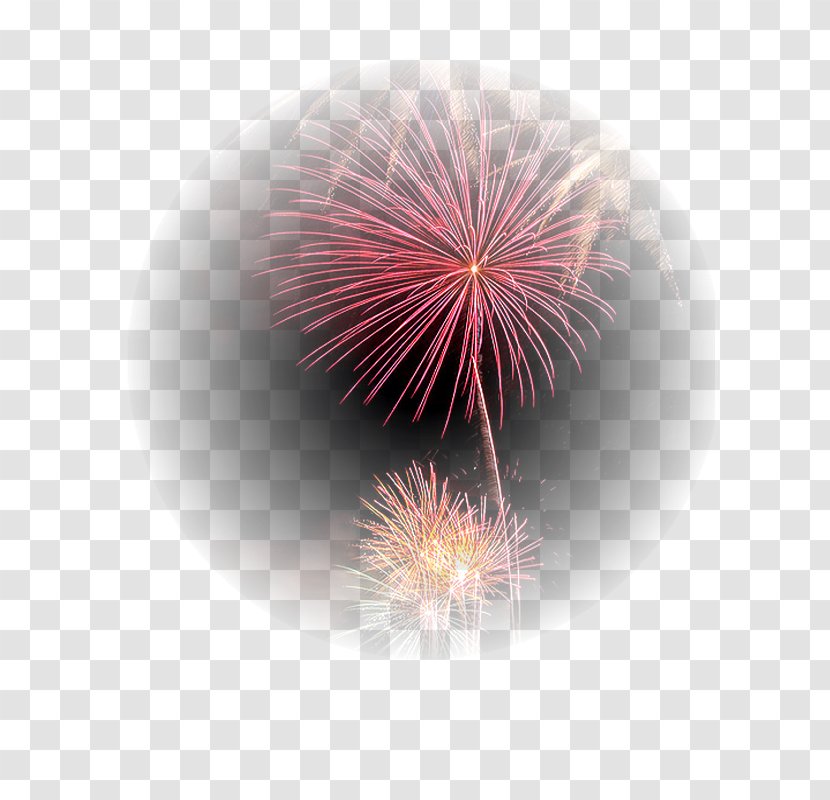 Fireworks Explosive Material Desktop Wallpaper Close-up Computer Transparent PNG