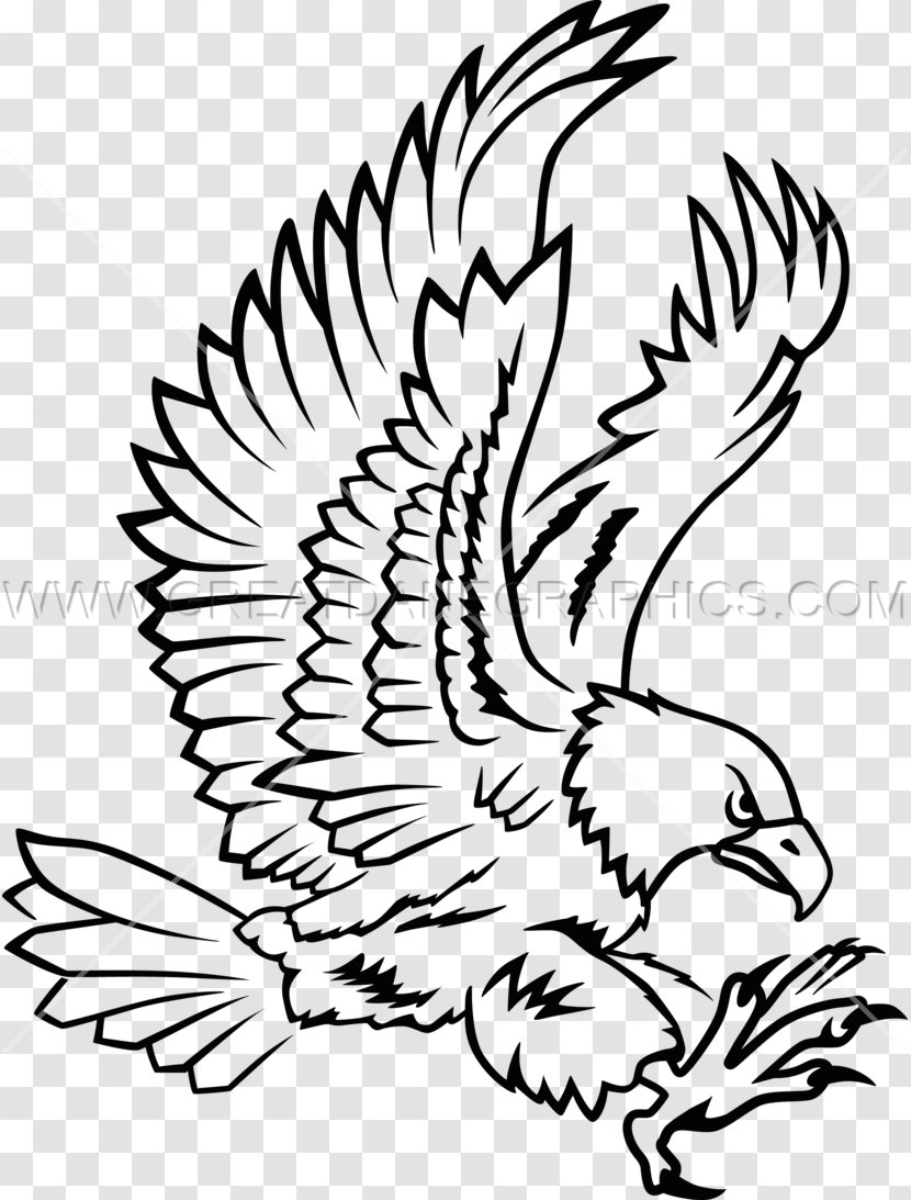 Clip Art Drawing Beak Image Line - Tree - Eagle Transparent PNG