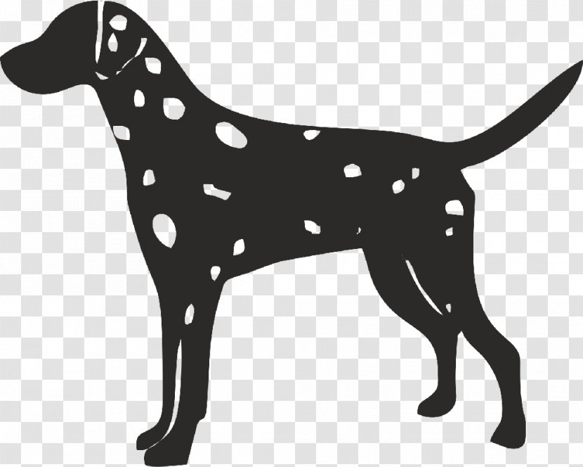Dalmatian Dog English Foxhound American Harrier Silhouette Transparent PNG