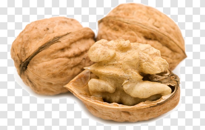 English Walnut Food Hazelnut - Cashew - Real Photography Transparent PNG