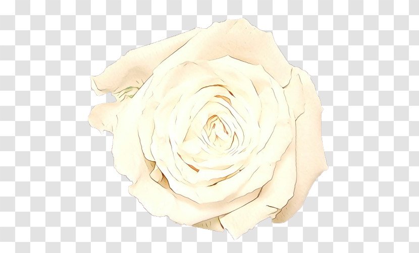 Pink Flowers Background - Gardenia Hybrid Tea Rose Transparent PNG