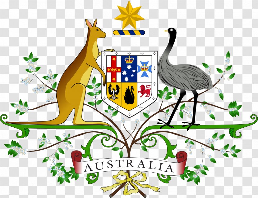 Coat Of Arms Australia Star National Symbols - Artwork - Usa Gerb Transparent PNG