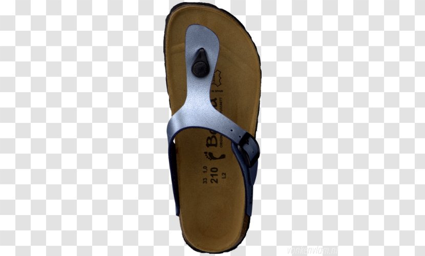 Slipper Shoe Sandal Blue Rose - Watercolor Transparent PNG
