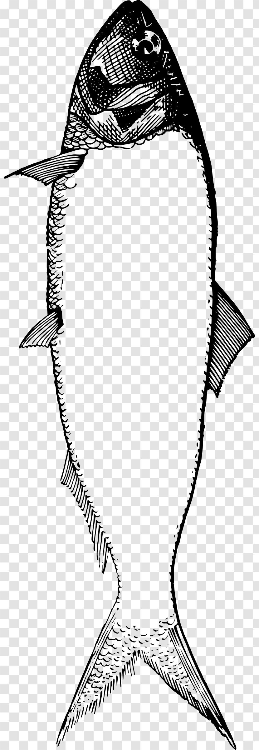 Fish Drawing Clip Art - Black And White - Seafood Transparent PNG