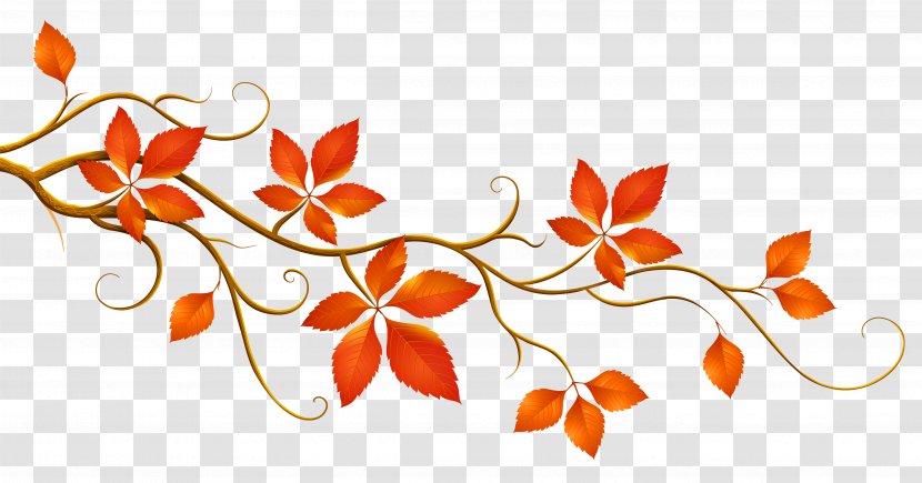 Autumn Leaf Color Branch Clip Art - Orange - Decorative With Leaves Clipart Transparent PNG