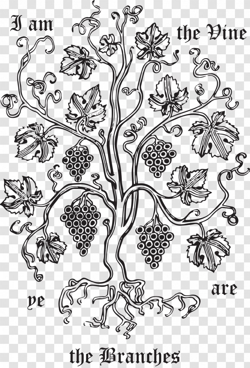 Coloring Book Floral Design Plant Stem Character - Fictional - Vine Branches Transparent PNG