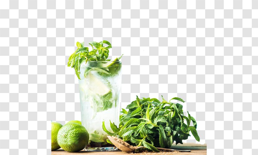 Mojito Cocktail Rum Mint Julep - Cool Transparent PNG