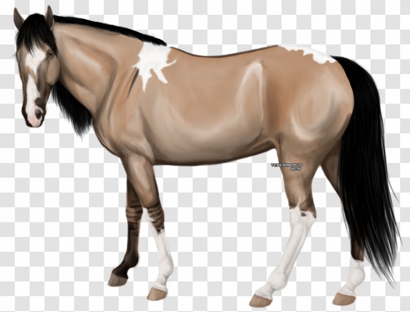 Mustang Stallion Rein Mare Pony - Halter Transparent PNG