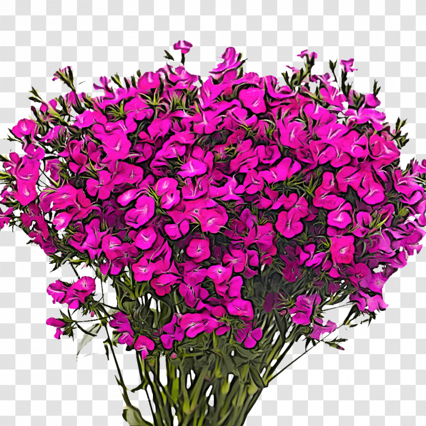 Floral Design Transparent PNG