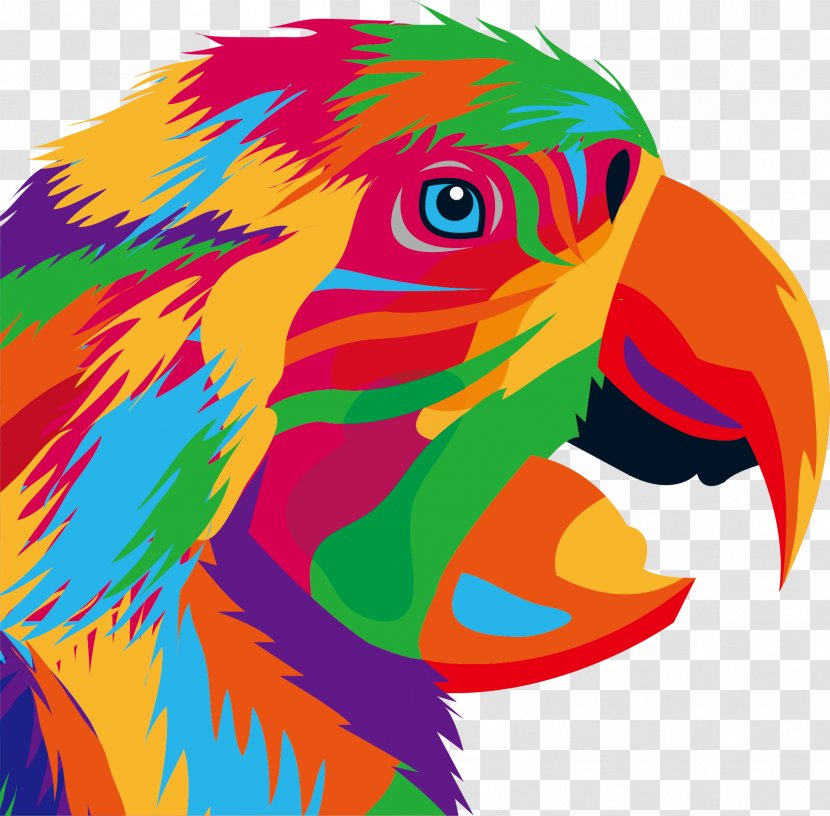 Parrot Bird Drawing Illustration - Organism - Personality Graffiti Eagle Head Portrait Transparent PNG