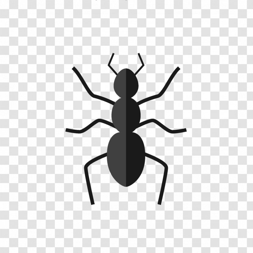 Insect Ant Termite Pest Clip Art - Fire - Non Toxic Transparent PNG