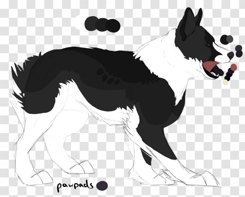Dog Breed Border Collie Rough Horse Snout - Like Mammal Transparent PNG