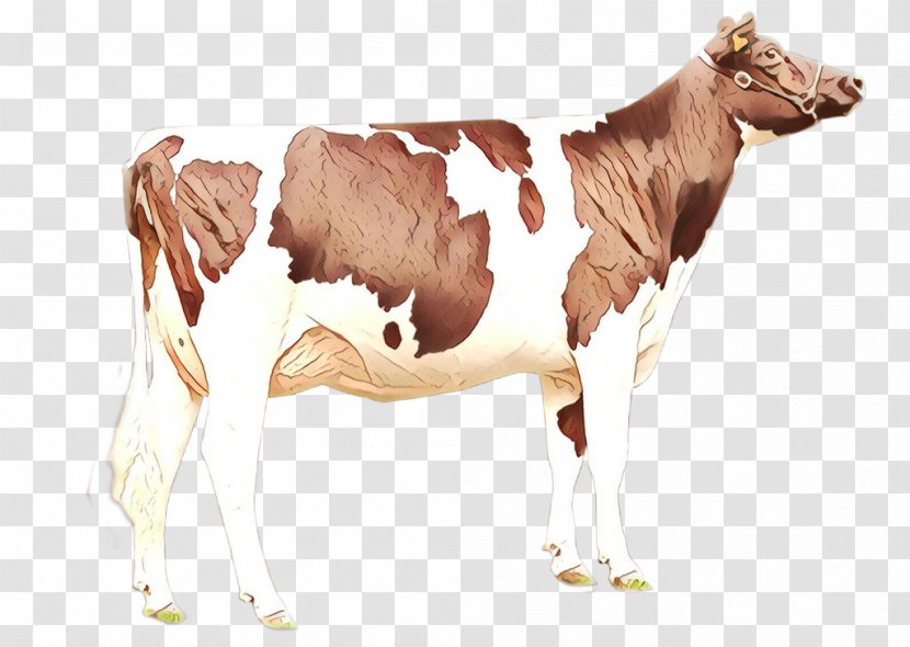 Animal Figure Dairy Cow Bovine Terrestrial Calf - Wildlife - Livestock Transparent PNG