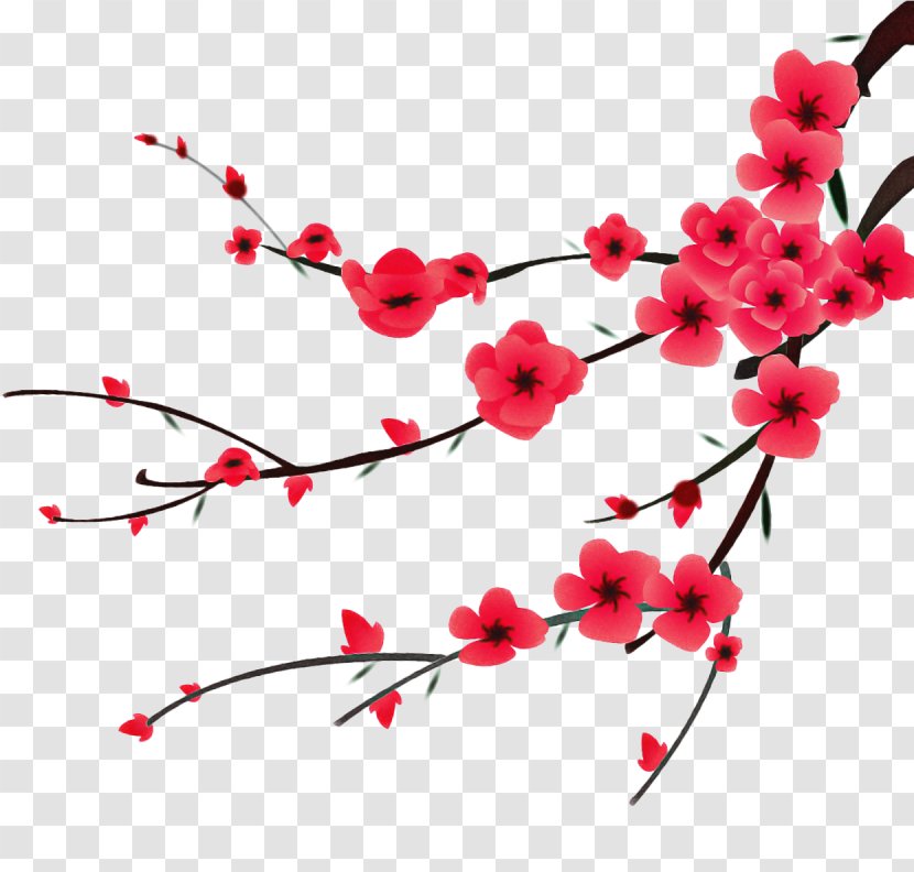Cherry Blossom Cartoon - Twig Plant Transparent PNG