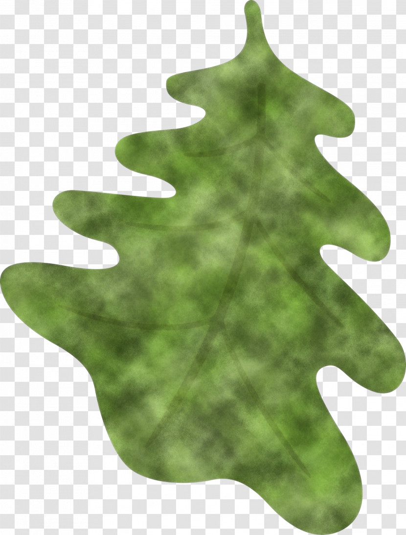 Oak Leaf Transparent PNG