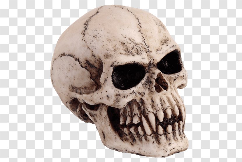 Vampire Skull Totenkopf Goth Subculture Skeleton - Bone Transparent PNG