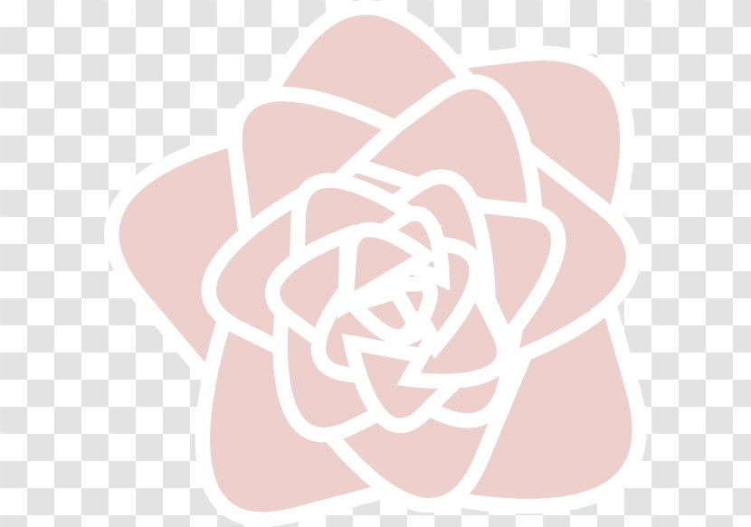 Rose Clip Art - Plant - Pink Pearls Transparent PNG