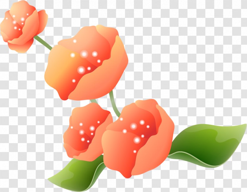 Cut Flowers Google Images - Chomikujpl - Flower Transparent PNG