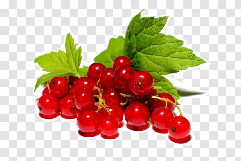 Redcurrant Fruit Berry Marmalade Blackcurrant - Raspberry Transparent PNG
