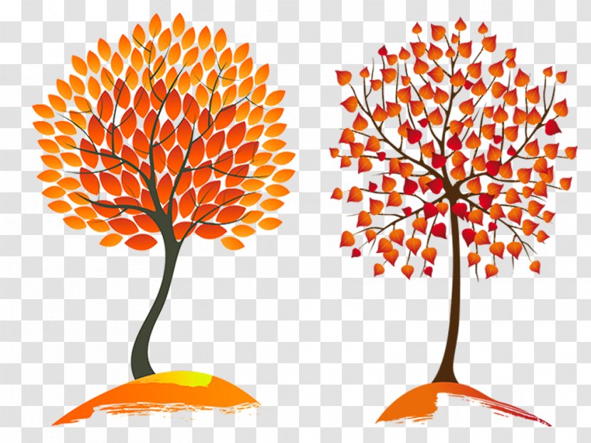 Autumn Leaf Color Tree Clip Art - Flora - Trees Material Transparent PNG