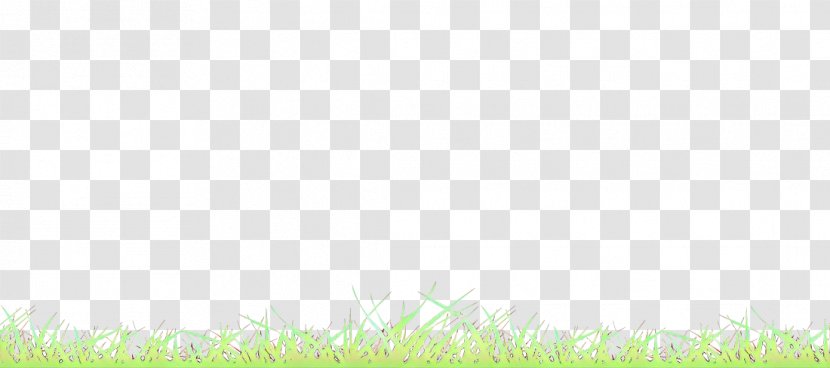 Green Grass Leaf Yellow Meadow - Plant Sky Transparent PNG