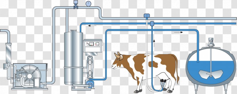 Milk Quality Cattle Dairy Processing Handbook - Diagram - Flow Transparent PNG