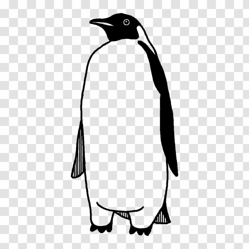 Penguins Line Art Cartoon Character Beak Transparent PNG