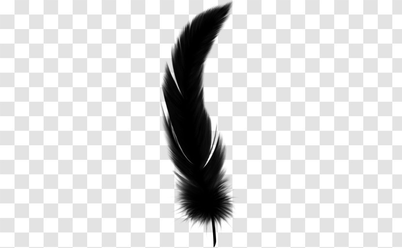 Feather - Tail - Blackandwhite Transparent PNG