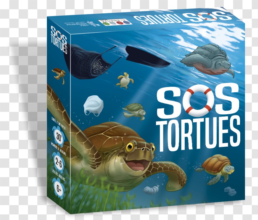 Sea Turtle Oceanographic Museum SOS Tortues Game - Animal Transparent PNG