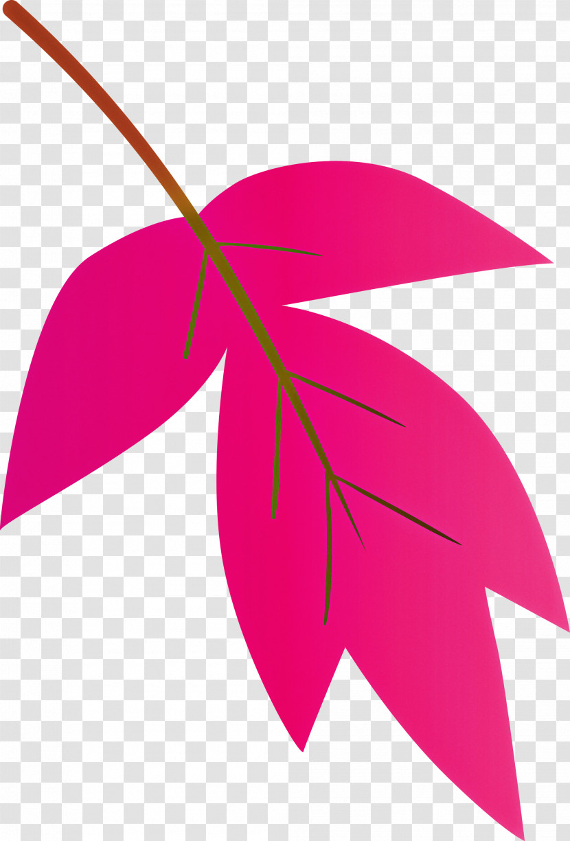 Leaf Pink Line Plant Magenta Transparent PNG