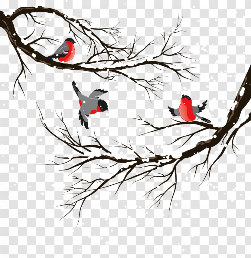 Bird Winter Illustration - Graphic Arts - Creative Trees Transparent PNG
