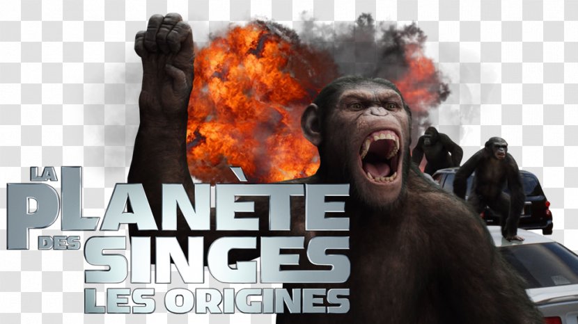 Planet Of The Apes 0 Television Fan Art Transparent PNG