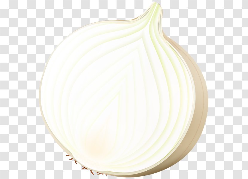 Tableware Plate - Dishware - Onion Transparent PNG