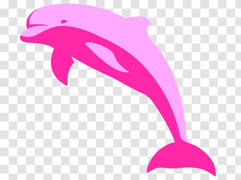Amazon River Dolphin Free Clip Art - Tucuxi - Rosa Transparent PNG