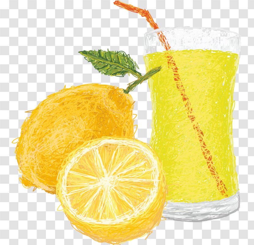 Lemon-lime Drink Juice Illustration Orange - Lemonlime - Lemon Transparent PNG