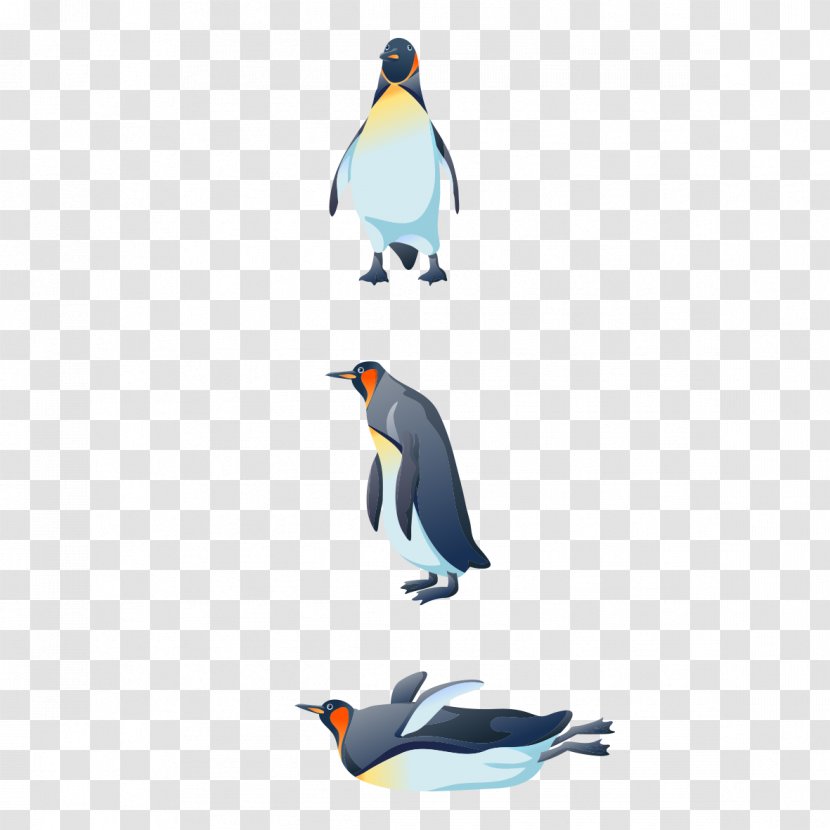 Bird Penguin Gulls Swallow - Animal - Penguins Form Transparent PNG