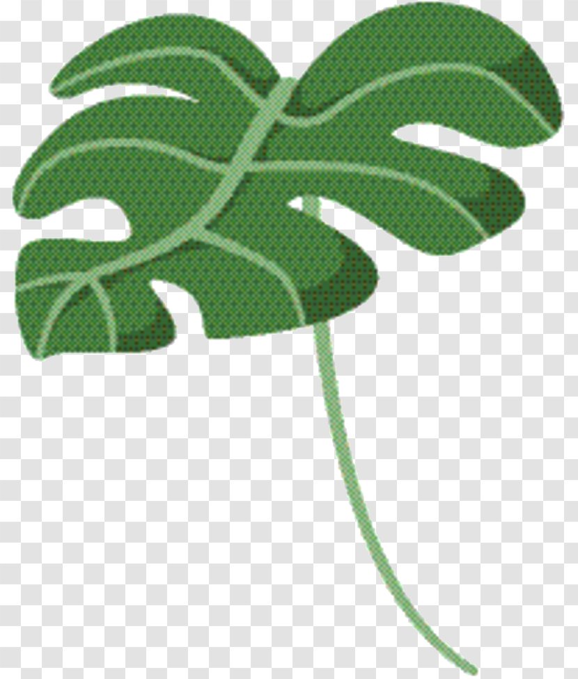 Green Leaf Background - Symbol - Monstera Deliciosa Flower Transparent PNG