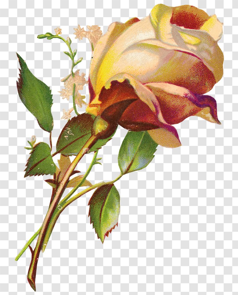 Bokmärke Flower Clip Art - Floral Design Transparent PNG