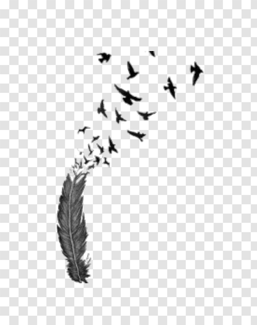 Bird Flight Feather Tattoo Image - Ink Transparent PNG