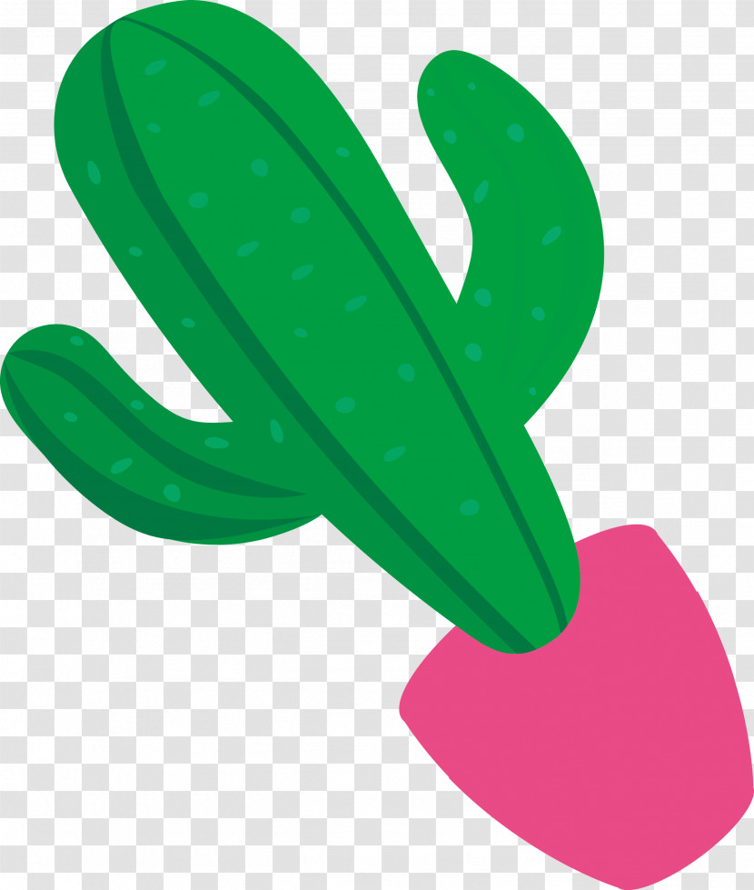 Mexico Element Transparent PNG