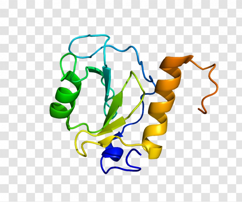 HDAC6 Histone Deacetylase Protein Acetylation And Deacetylation - Tree - Flower Transparent PNG