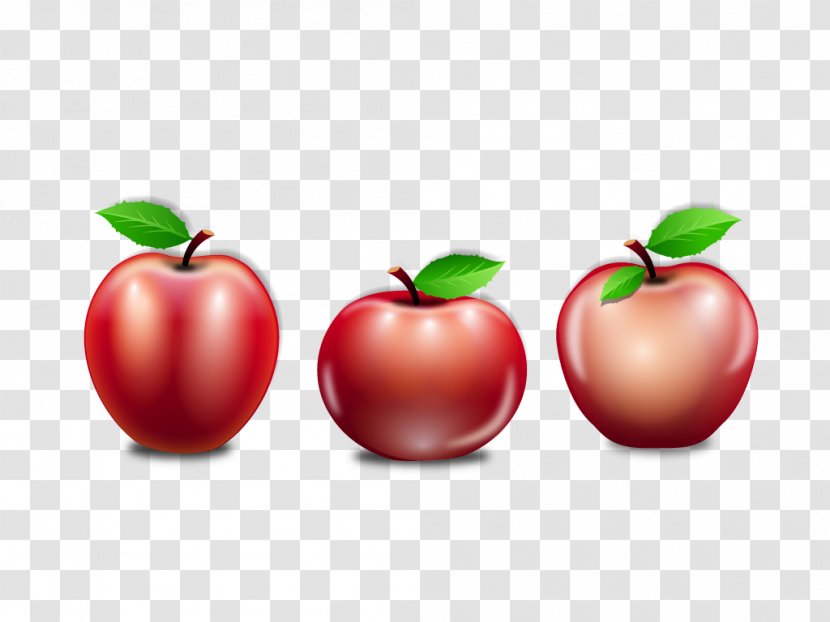Apple Euclidean Vector Barbados Cherry - Elements Painted Red Apples Transparent PNG