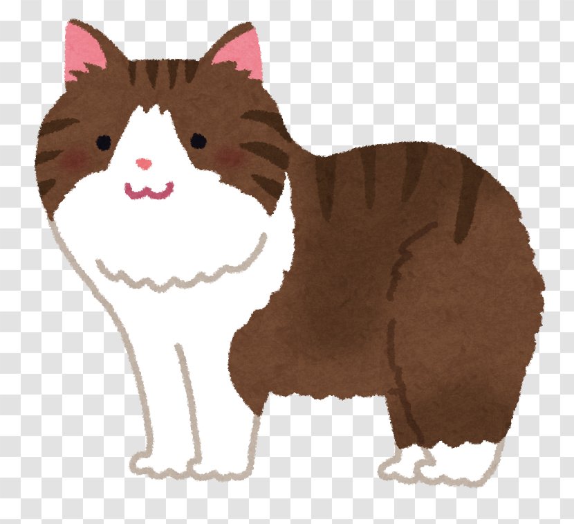 Whiskers Kitten Domestic Short-haired Cat Dog - Tail Transparent PNG