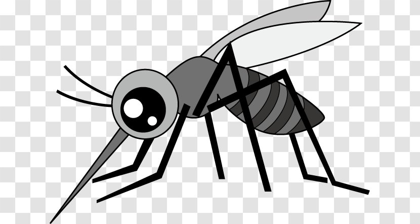 Mosquito Insect Fly Blood Pest - Flying Bee Transparent PNG
