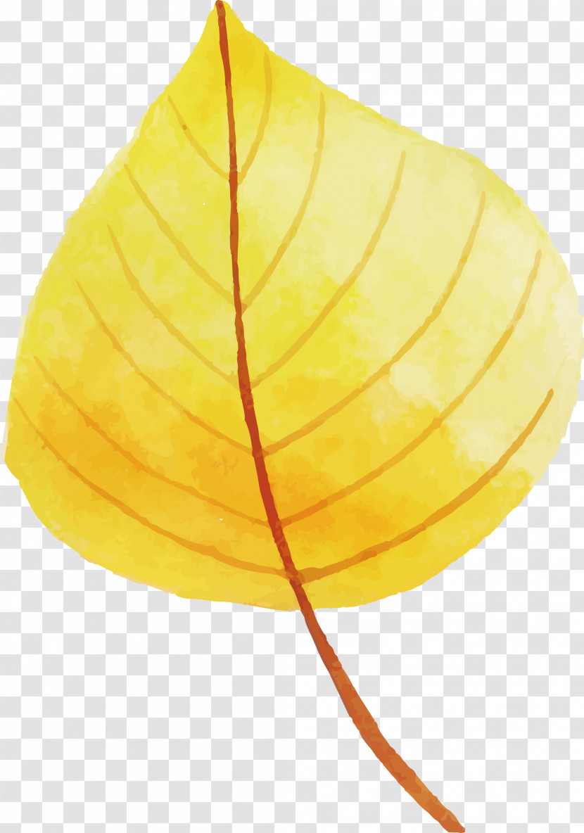 Autumn Leaf Colorful Leaf Transparent PNG