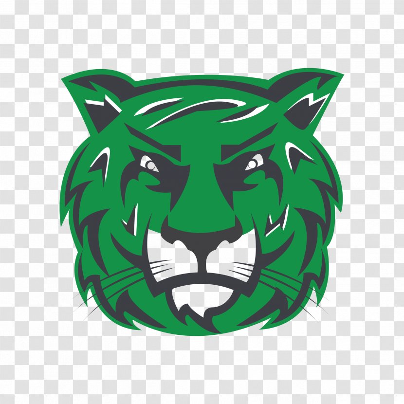 Salem International University Tigers Women's Basketball Winston-Salem State Virginia Bluefield College - Felidae - Subzero Pattern Transparent PNG