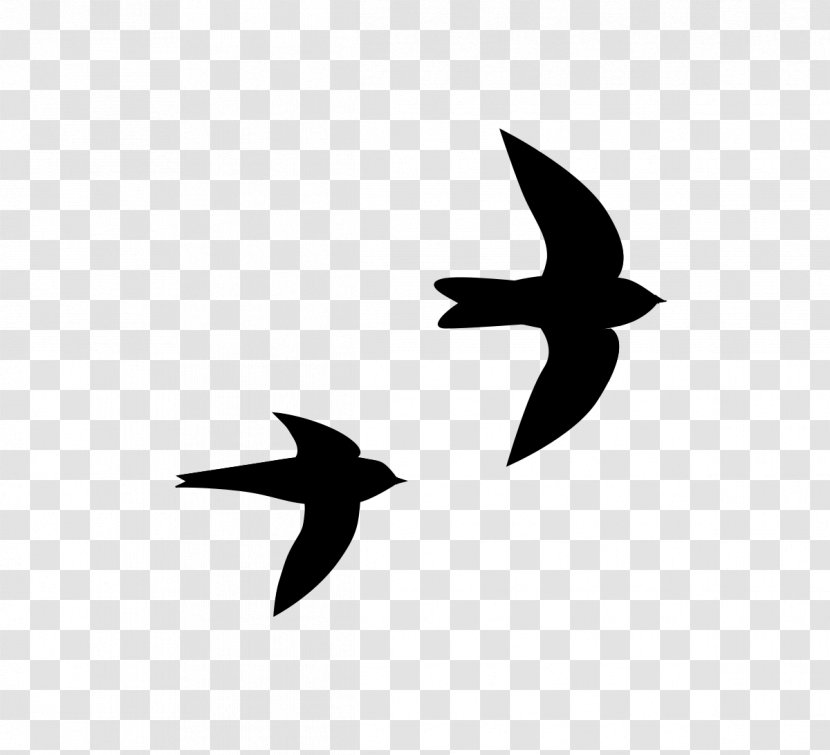 Bird Beak Swifts Silhouette Clip Art - Family Transparent PNG