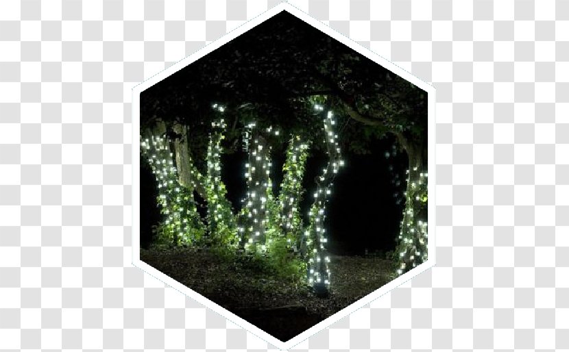 Light-emitting Diode Christmas Lights Landscape Lighting - String Transparent PNG