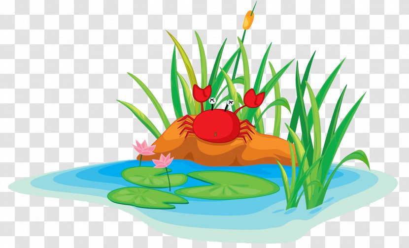 Edible Frog Cartoon Illustration - Royaltyfree - Crabs On The Banks Of River Transparent PNG